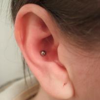 Inner Conch
