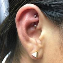 Rook