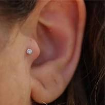 Tragus